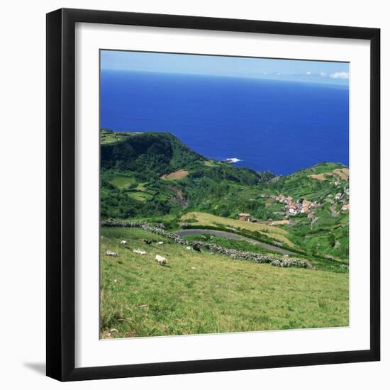 Cattle, Fields and Small Village on the Island of Flores in the Azores, Portugal, Atlantic, Europe-David Lomax-Framed Photographic Print