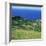 Cattle, Fields and Small Village on the Island of Flores in the Azores, Portugal, Atlantic, Europe-David Lomax-Framed Photographic Print