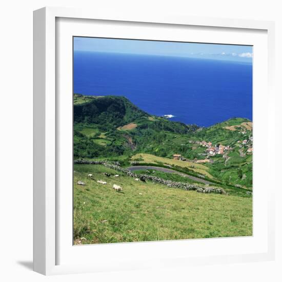 Cattle, Fields and Small Village on the Island of Flores in the Azores, Portugal, Atlantic, Europe-David Lomax-Framed Photographic Print