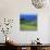 Cattle, Fields and Small Village on the Island of Flores in the Azores, Portugal, Atlantic, Europe-David Lomax-Photographic Print displayed on a wall