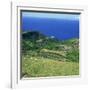 Cattle, Fields and Small Village on the Island of Flores in the Azores, Portugal, Atlantic, Europe-David Lomax-Framed Photographic Print