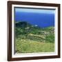 Cattle, Fields and Small Village on the Island of Flores in the Azores, Portugal, Atlantic, Europe-David Lomax-Framed Photographic Print