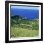 Cattle, Fields and Small Village on the Island of Flores in the Azores, Portugal, Atlantic, Europe-David Lomax-Framed Photographic Print