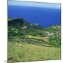 Cattle, Fields and Small Village on the Island of Flores in the Azores, Portugal, Atlantic, Europe-David Lomax-Mounted Photographic Print