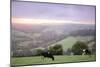 Cattle Friesian Heifers-Anthony Harrison-Mounted Photographic Print