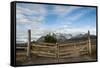 Cattle Gate-Michael Runkel-Framed Stretched Canvas