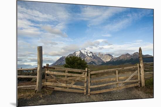 Cattle Gate-Michael Runkel-Mounted Photographic Print