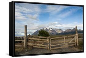 Cattle Gate-Michael Runkel-Framed Stretched Canvas