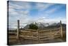 Cattle Gate-Michael Runkel-Stretched Canvas