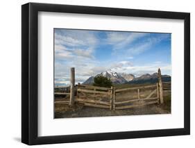 Cattle Gate-Michael Runkel-Framed Photographic Print