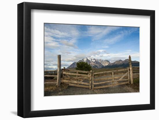 Cattle Gate-Michael Runkel-Framed Photographic Print