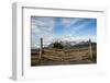 Cattle Gate-Michael Runkel-Framed Photographic Print