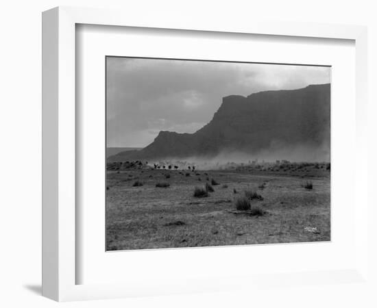 Cattle, Grand Coulee, 1916-Asahel Curtis-Framed Giclee Print