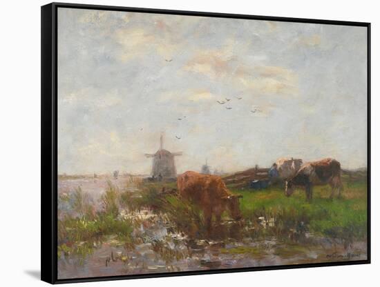 Cattle Grazing at the Water's Edge, C.1880-90-Willem Maris-Framed Stretched Canvas