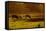 Cattle Grazing Early Morning-null-Framed Stretched Canvas