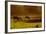 Cattle Grazing Early Morning-null-Framed Photographic Print