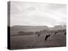 Cattle Grazing in a Field-null-Stretched Canvas