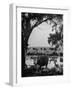 Cattle Grazing in a Pasture Near the Creek on the Ranch-null-Framed Photographic Print