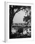 Cattle Grazing in a Pasture Near the Creek on the Ranch-null-Framed Photographic Print