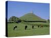 Cattle Grazing in Front of Glastonbury Tor, Glastonbury, Somerset, England, UK, Europe-Philip Craven-Stretched Canvas