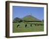 Cattle Grazing in Front of Glastonbury Tor, Glastonbury, Somerset, England, UK, Europe-Philip Craven-Framed Photographic Print