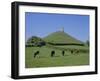 Cattle Grazing in Front of Glastonbury Tor, Glastonbury, Somerset, England, UK, Europe-Philip Craven-Framed Photographic Print