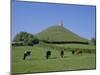 Cattle Grazing in Front of Glastonbury Tor, Glastonbury, Somerset, England, UK, Europe-Philip Craven-Mounted Photographic Print