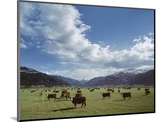 Photographic Print, , large