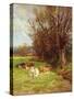 Cattle Grazing-Charles James Adams-Stretched Canvas