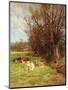 Cattle Grazing-Charles James Adams-Mounted Giclee Print