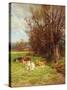 Cattle Grazing-Charles James Adams-Stretched Canvas