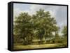 Cattle Grazing-James Stark-Framed Stretched Canvas