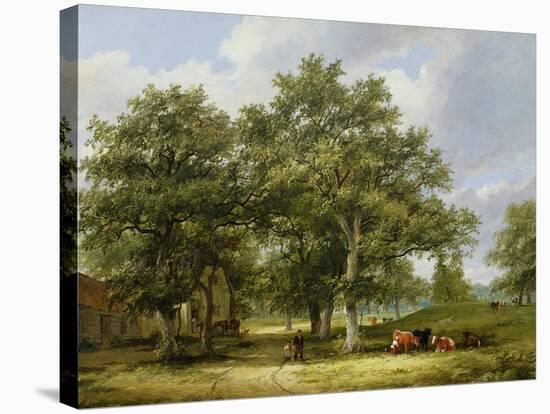 Cattle Grazing-James Stark-Stretched Canvas
