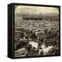 Cattle, Great Union Stock Yards, Chicago, Illinois, USA-Underwood & Underwood-Framed Stretched Canvas