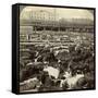 Cattle, Great Union Stock Yards, Chicago, Illinois, USA-Underwood & Underwood-Framed Stretched Canvas