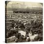 Cattle, Great Union Stock Yards, Chicago, Illinois, USA-Underwood & Underwood-Stretched Canvas