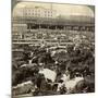 Cattle, Great Union Stock Yards, Chicago, Illinois, USA-Underwood & Underwood-Mounted Photographic Print