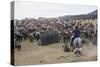 Cattle Herd in the Torres Del Paine National Park, Patagonia, Chile, South America-Michael Runkel-Stretched Canvas