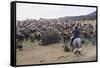 Cattle Herd in the Torres Del Paine National Park, Patagonia, Chile, South America-Michael Runkel-Framed Stretched Canvas