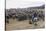 Cattle Herd in the Torres Del Paine National Park, Patagonia, Chile, South America-Michael Runkel-Stretched Canvas