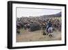 Cattle Herd in the Torres Del Paine National Park, Patagonia, Chile, South America-Michael Runkel-Framed Photographic Print