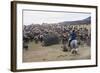 Cattle Herd in the Torres Del Paine National Park, Patagonia, Chile, South America-Michael Runkel-Framed Photographic Print