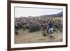 Cattle Herd in the Torres Del Paine National Park, Patagonia, Chile, South America-Michael Runkel-Framed Photographic Print