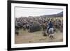 Cattle Herd in the Torres Del Paine National Park, Patagonia, Chile, South America-Michael Runkel-Framed Photographic Print