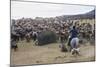 Cattle Herd in the Torres Del Paine National Park, Patagonia, Chile, South America-Michael Runkel-Mounted Photographic Print