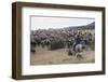 Cattle Herd in the Torres Del Paine National Park, Patagonia, Chile, South America-Michael Runkel-Framed Premium Photographic Print