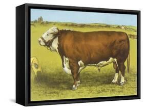 Cattle, Hereford Bull-null-Framed Stretched Canvas