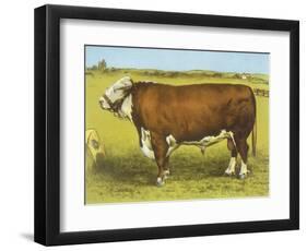 Cattle, Hereford Bull-null-Framed Art Print