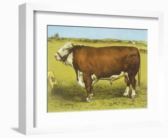 Cattle, Hereford Bull-null-Framed Art Print
