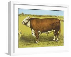 Cattle, Hereford Bull-null-Framed Art Print